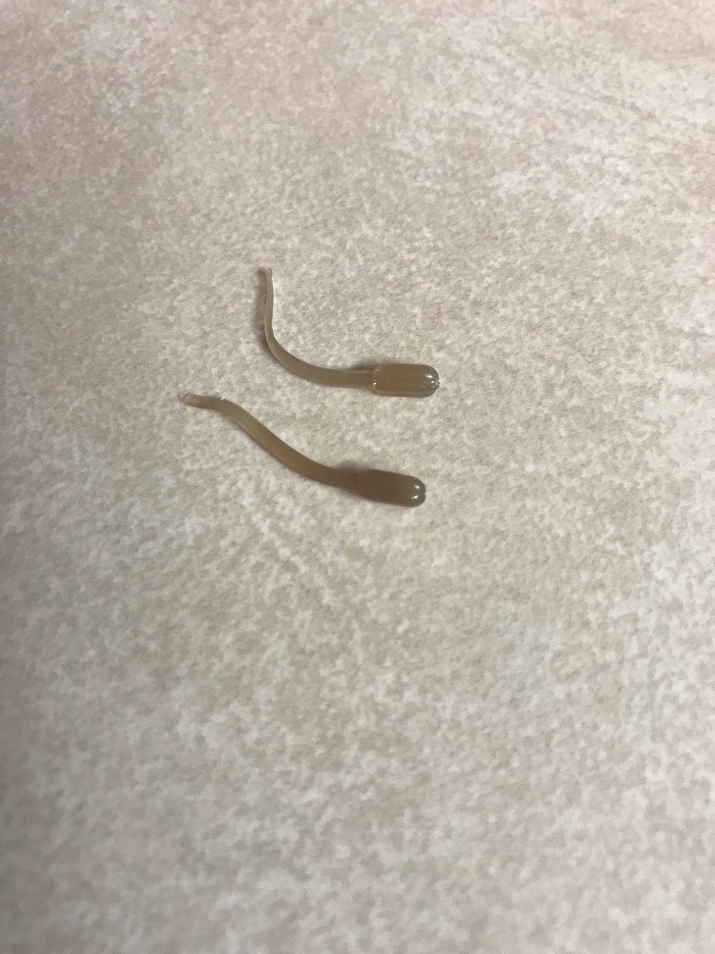 1" Ice Tickler