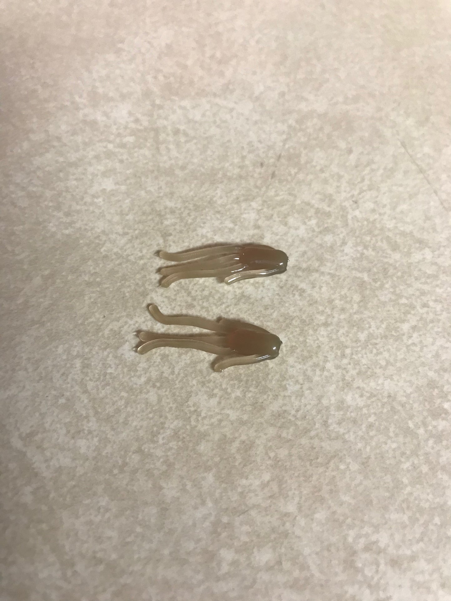 .875" Mustache Bug