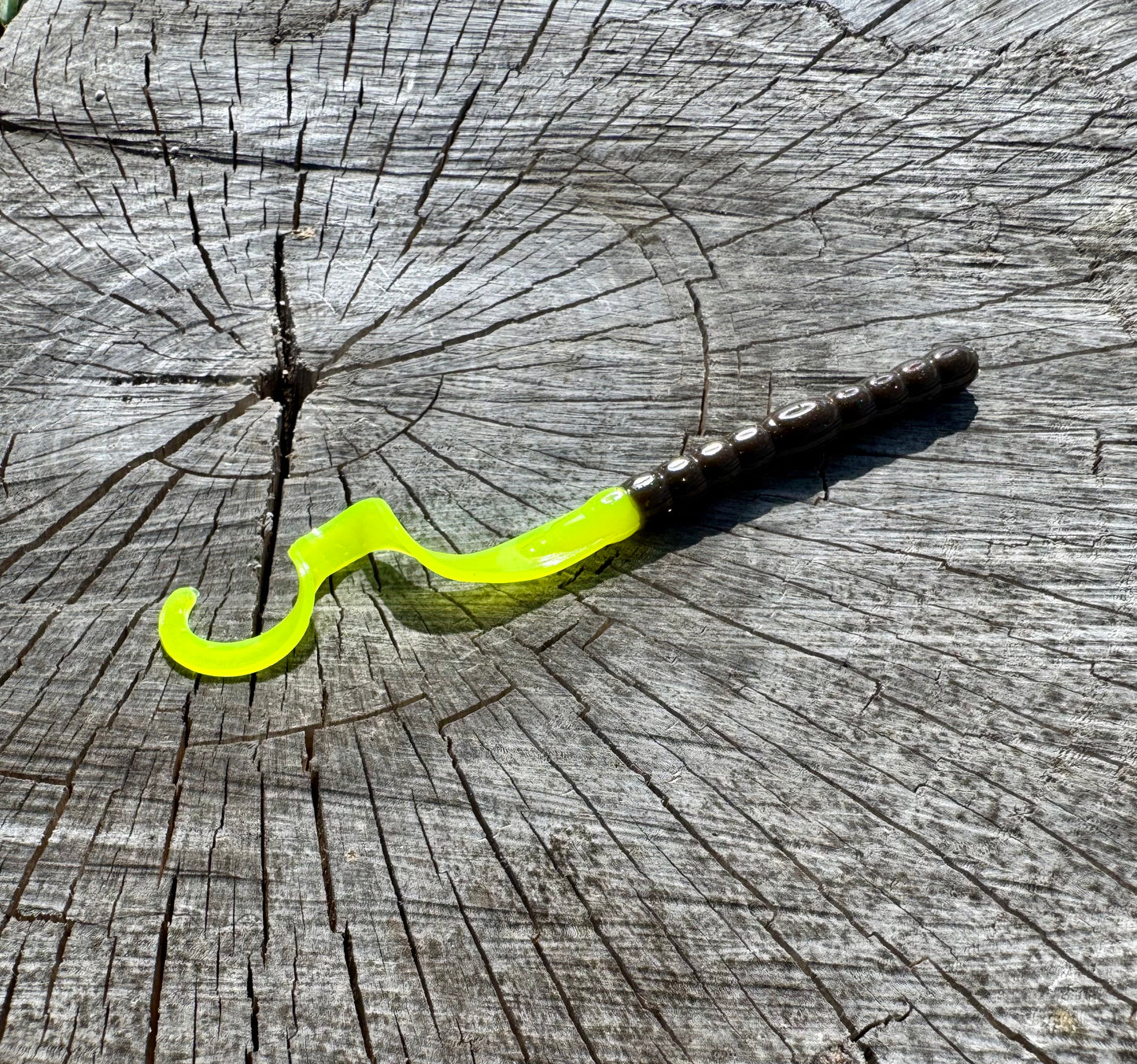 Ledgend Worm