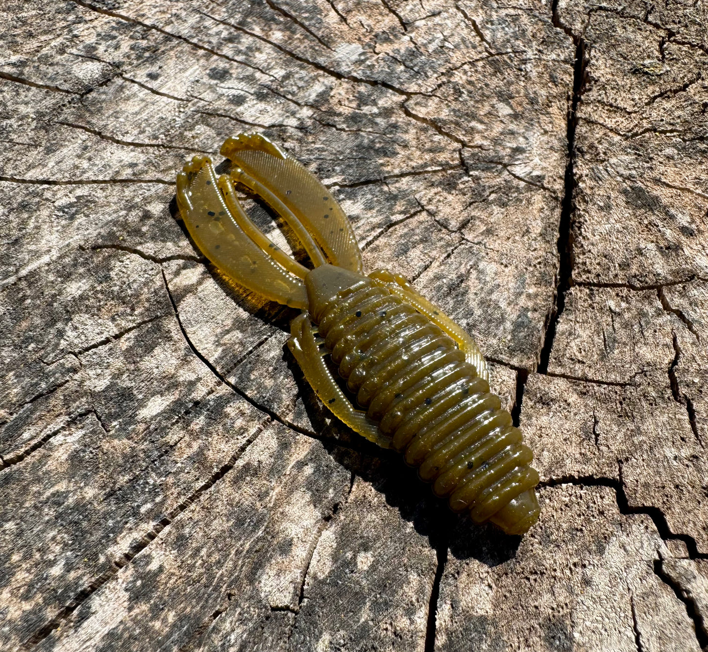 4” Knuckle Dragger