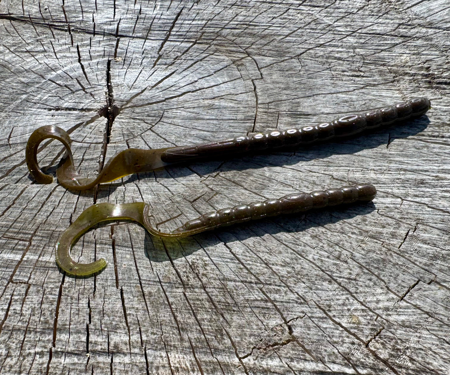 Ledgend Worm