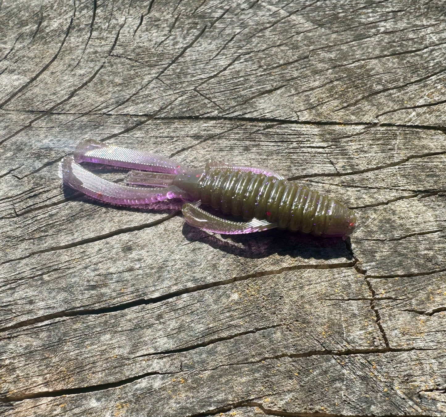 3” Knuckle Dragger