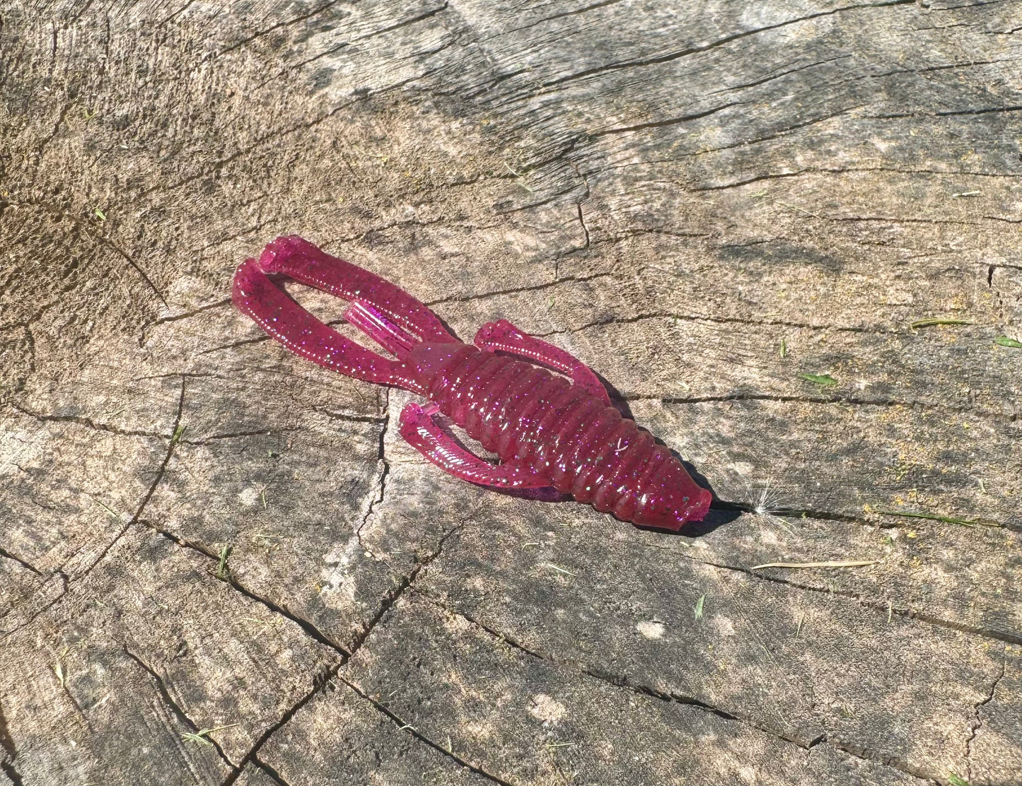 3” Knuckle Dragger